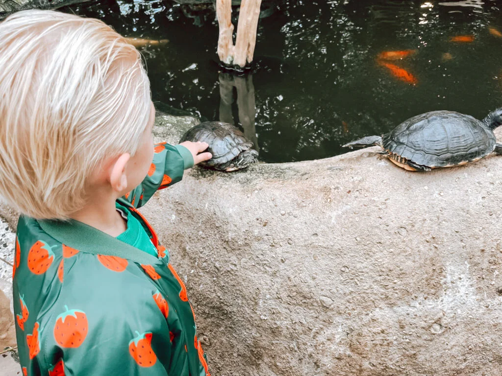diary_persoonlijk_mamablogger_vakantie_