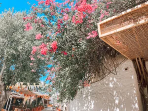 Vakantie_zomervakantie_Kos_2023_verslag_Mamablogger_