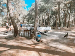 Vakantie_zomervakantie_Kos_2023_verslag_Mamablogger_