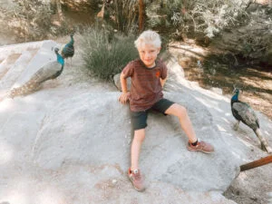 Vakantie_zomervakantie_Kos_2023_verslag_Mamablogger_