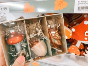 Action_musthaves_herfst_budgettip_2023_mamablogger_