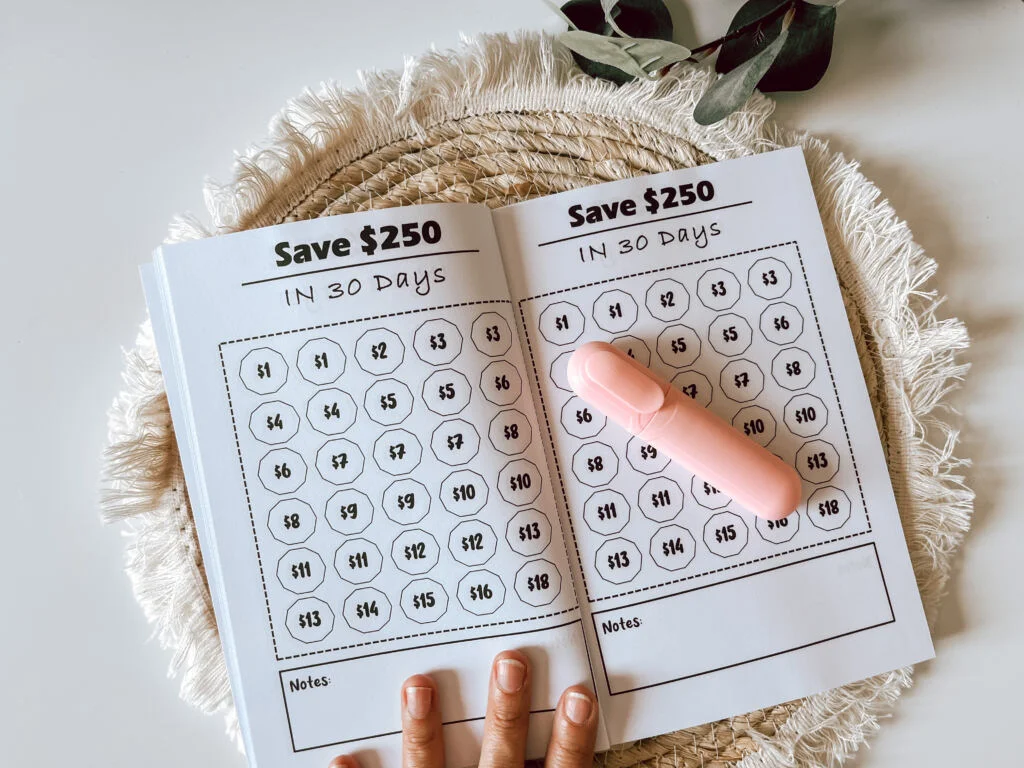 boekje_spaarchallenges_budgettip_sparen_geld_budget_mamablogger_cadeautip_