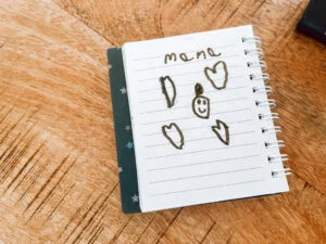 diary_persoonlijk_brugklas_groep 3_grand prix_zandvoort_mamablogger_