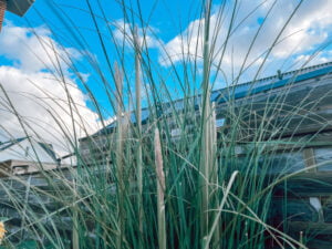 diary_brugklaskamp_eerste_zwemles_mamablogger_persoonlijk_