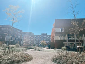 ziek_diary_persoonlijk_gangetje_mamablogger_