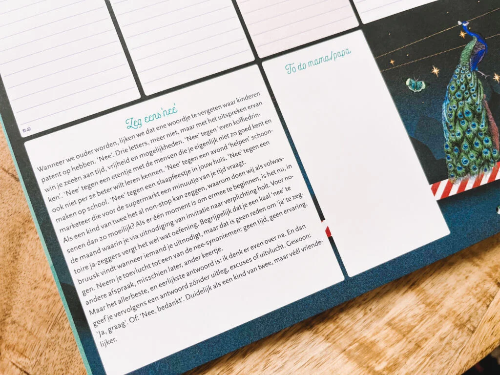 familieplanner_2024_musthave_mamablogger_familyplanner_maandplanner_