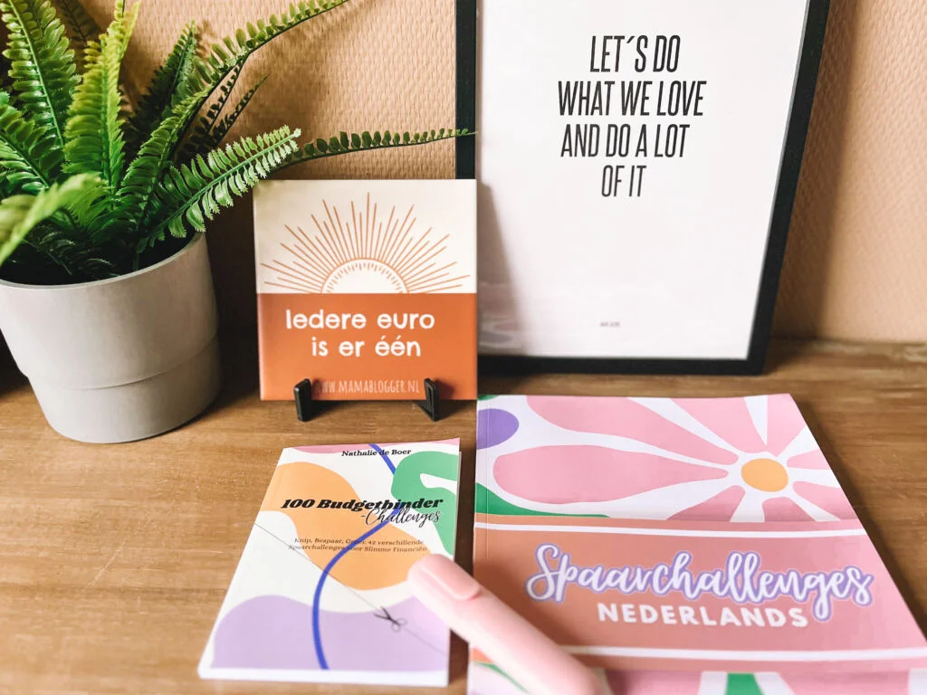 spaarchallenges_gezin_mamablogger_sparen_budgetteren_