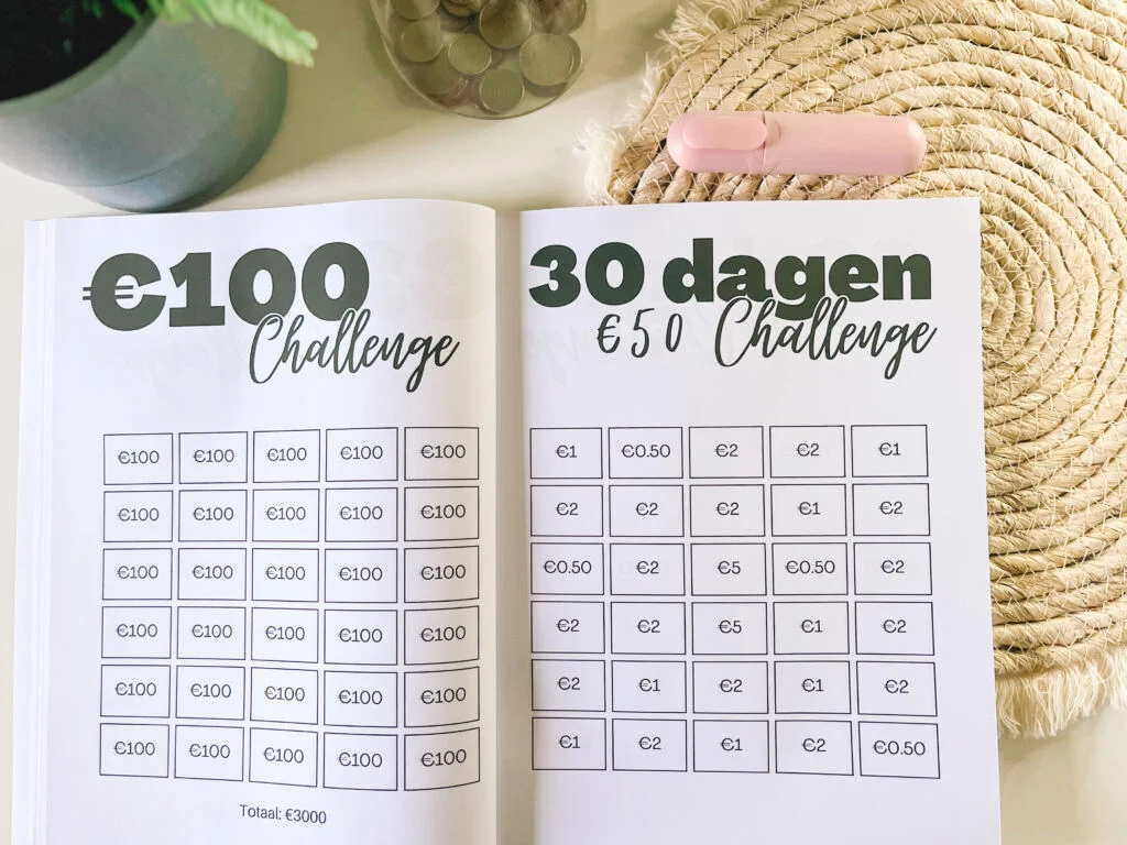 spaarchallenges_gezin_mamablogger_sparen_budgetteren_