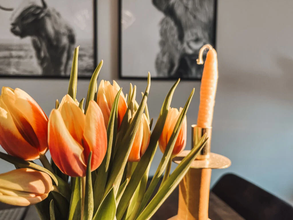 diary_persoonlijk_mamablogger_notaris_huisarts_kou_