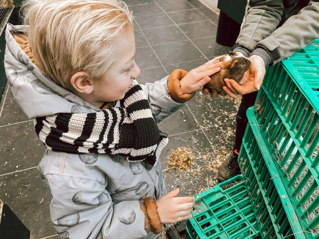 diary_persoonlijk_mamablogger_geen school_jarig_