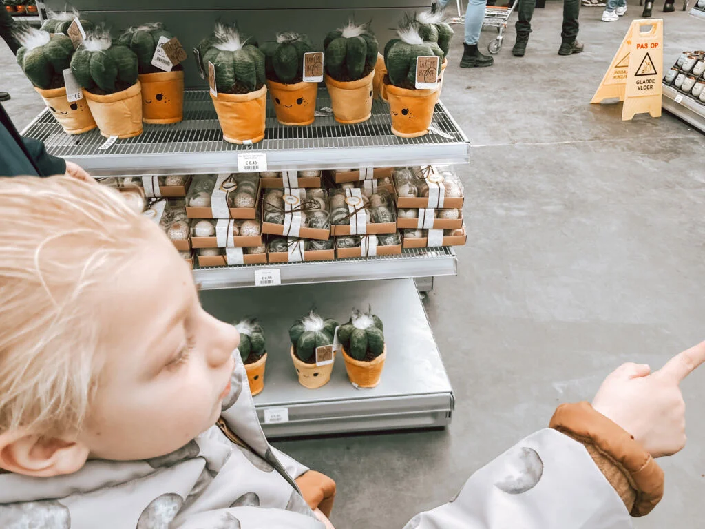 diary_persoonlijk_paracetamol_perenijsjes_Mamablogger_