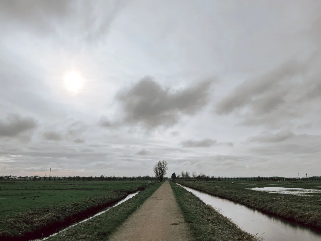 diary_persoonlijk_paracetamol_perenijsjes_Mamablogger_