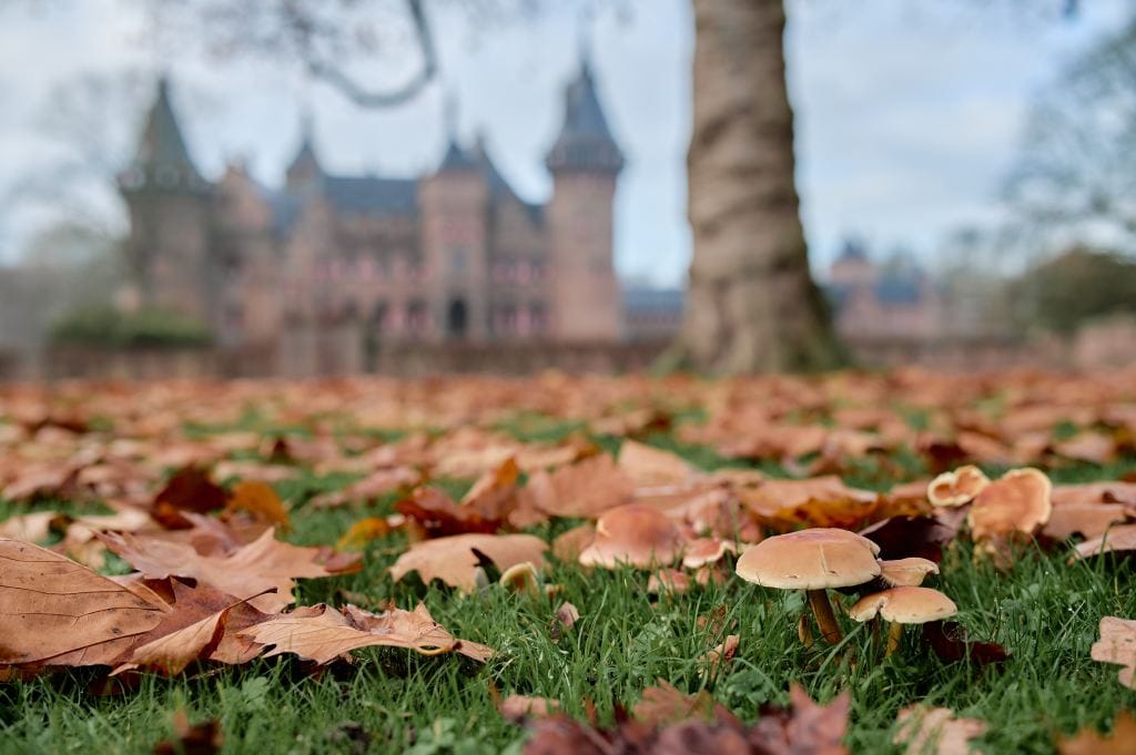 Kasteel de Haar_dagje weg_gezin_herfstvakantie_mamablogger_