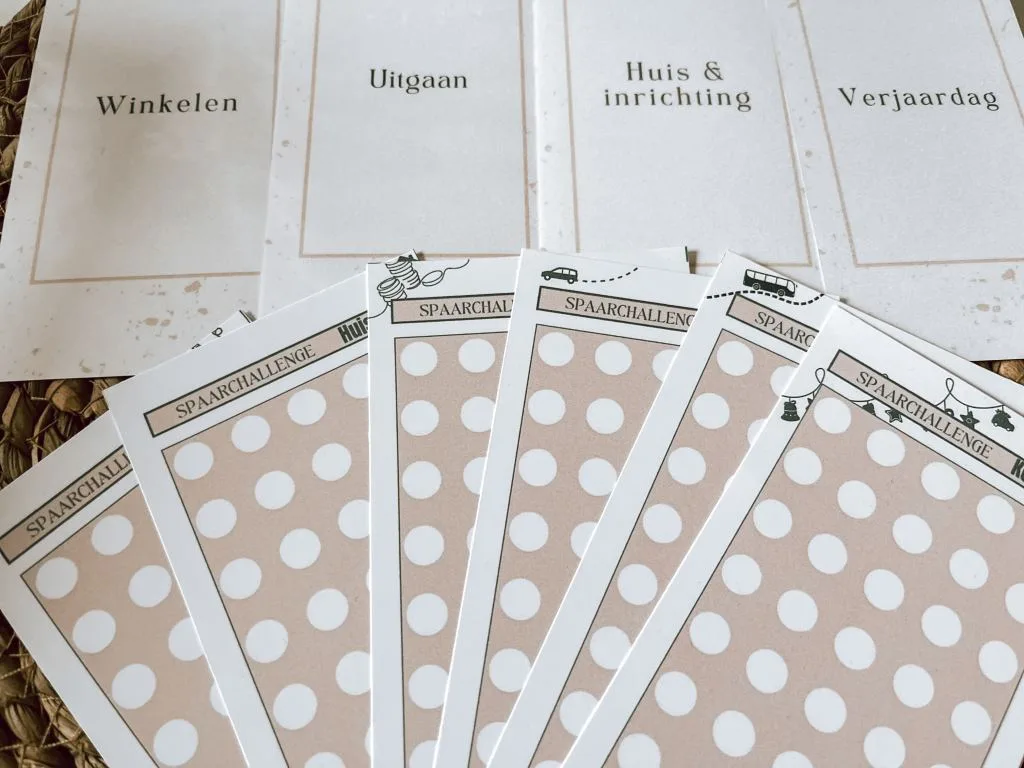 budgetplanner_Marian Grovenstein_budgetbinder_spaarchallenges_geld_gezin_kasboek_Mamablogger_