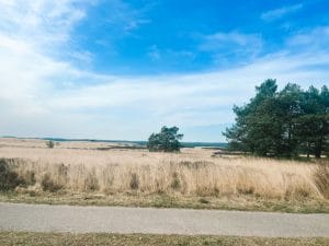 Mijn week_persoonlijk_mamablogger_foto's_financiën_favorieten_