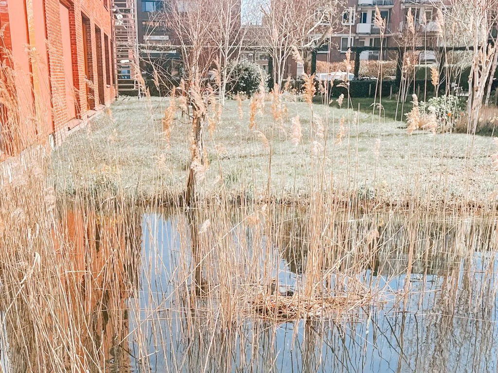 Mijn week_persoonlijk_mamablogger_foto's_financiën_favorieten_