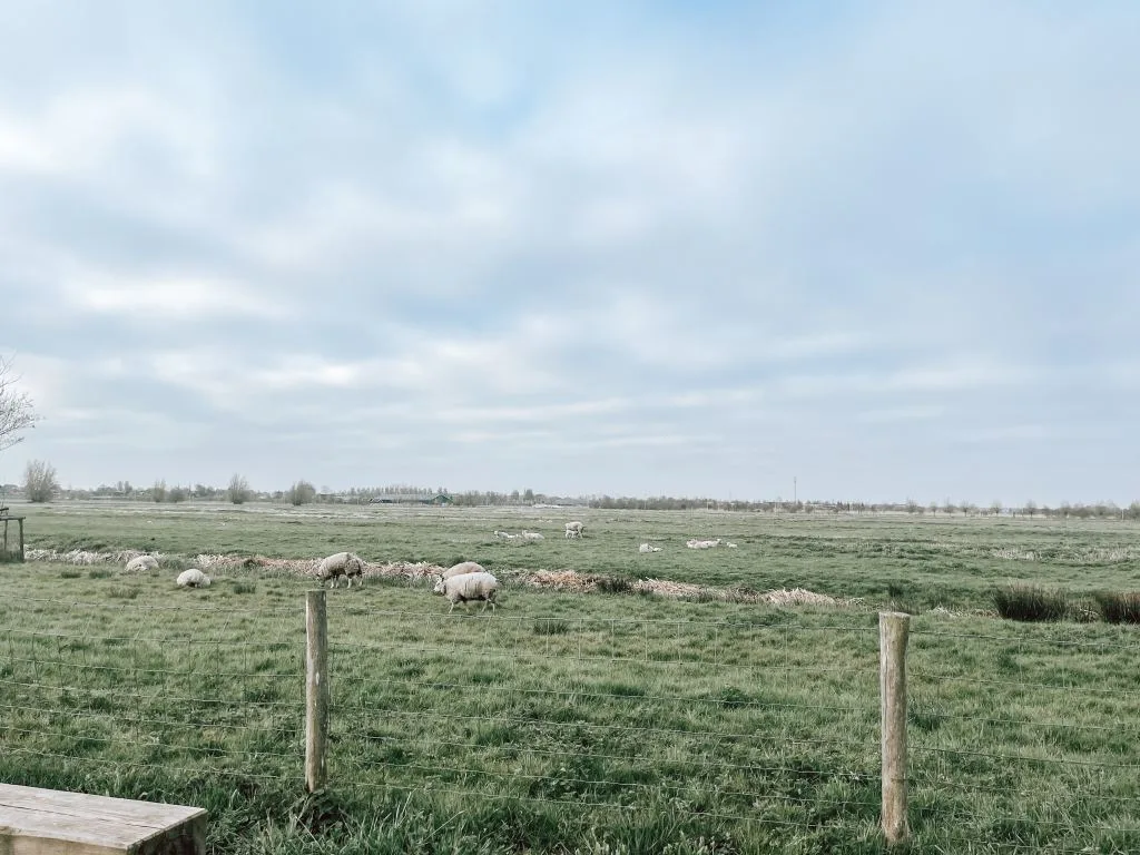 Mijn week_persoonlijk_mamablogger_foto's_financiën_favorieten_