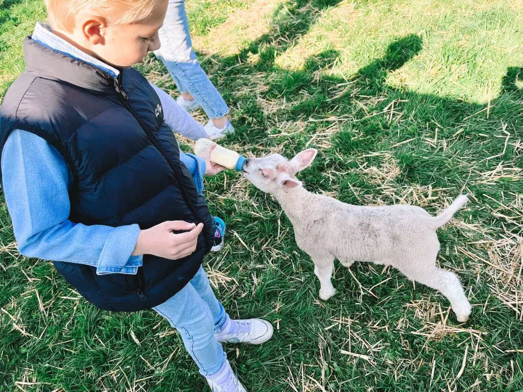Mijn week_persoonlijk_mamablogger_foto's_financiën_favorieten_