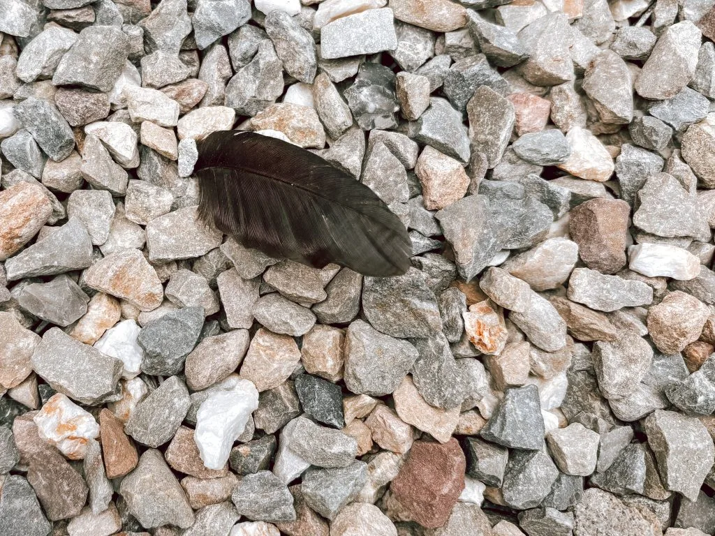 mijn week_persoonlijk_mamablogger_foto's_financien_favorieten_