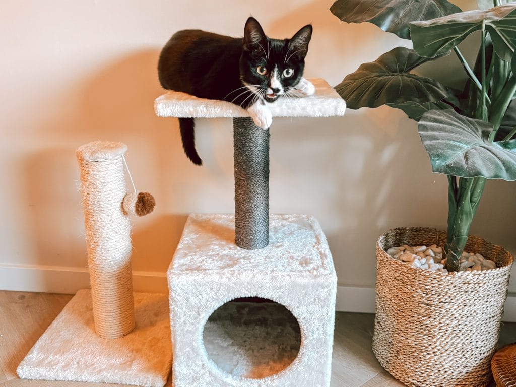 Mijn week #72 | Foto’s, financiën en favorieten