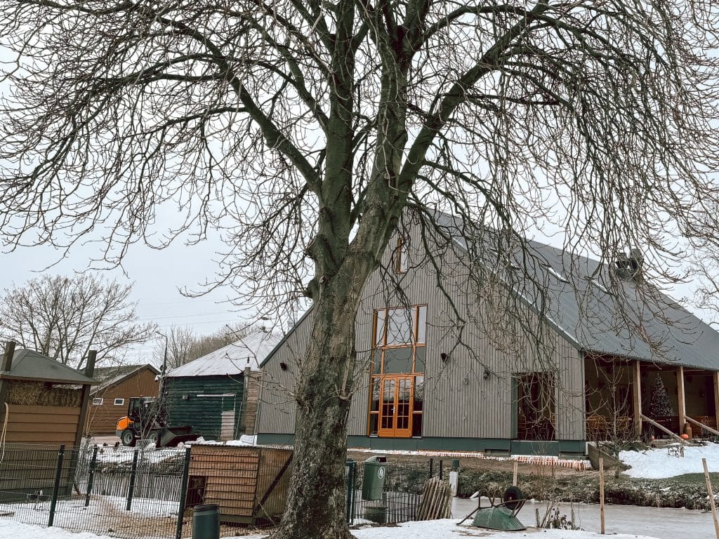 mijn week_persoonlijk_favorieten_Mamablogger_