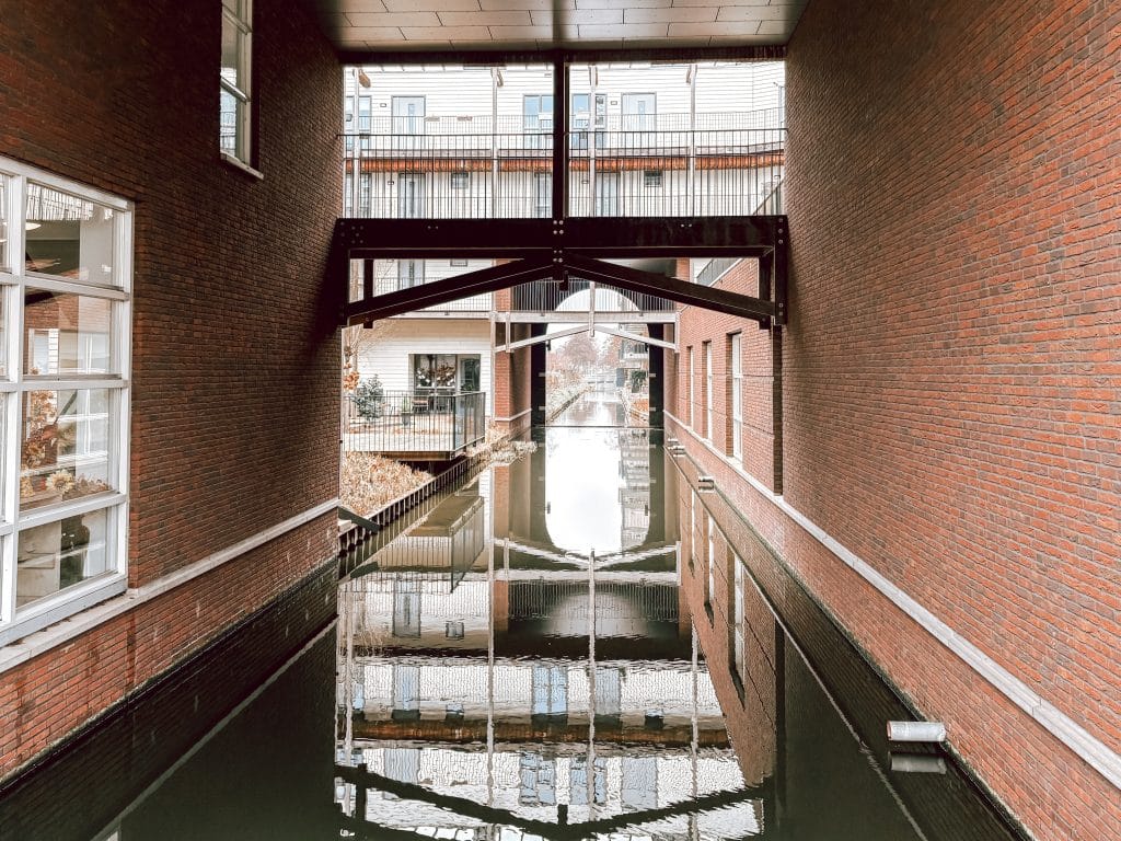 mijn week_persoonlijk_favorieten_Mamablogger_