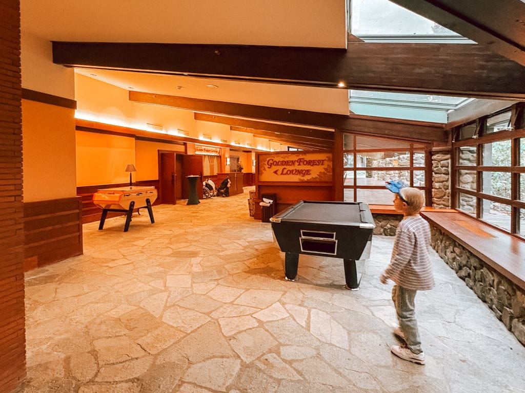 Disney_Parijs_februari_2026_review_Mamablogger_