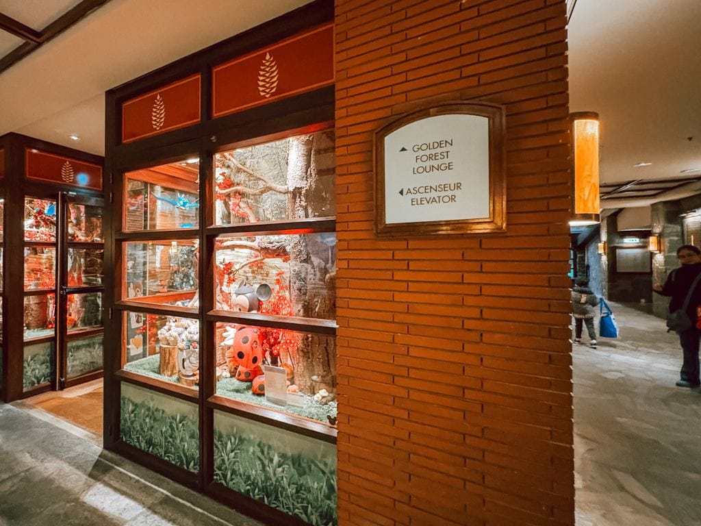 Disney_Parijs_februari_2026_review_Mamablogger_