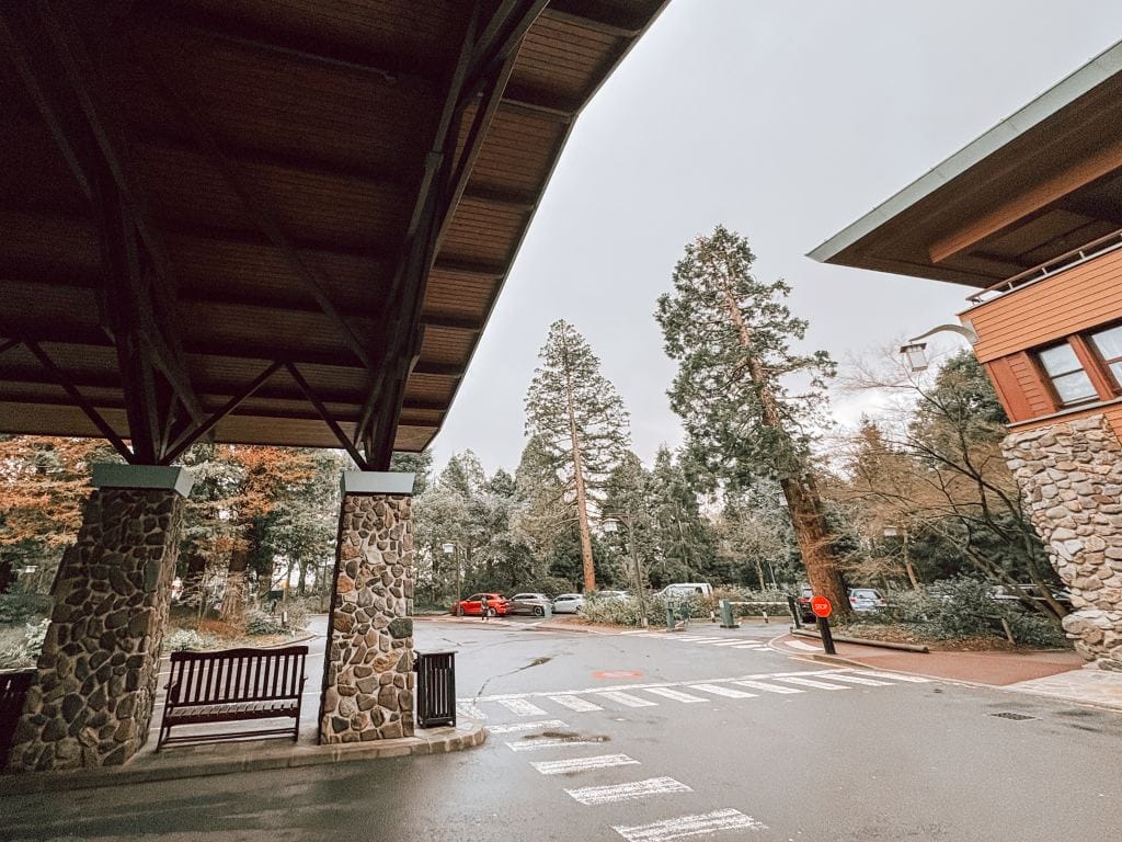 Disney_Parijs_februari_2026_review_Mamablogger_