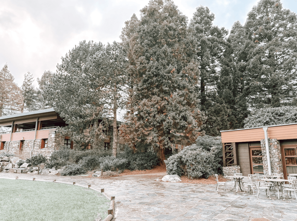 Disney_Parijs_februari_2026_review_Mamablogger_