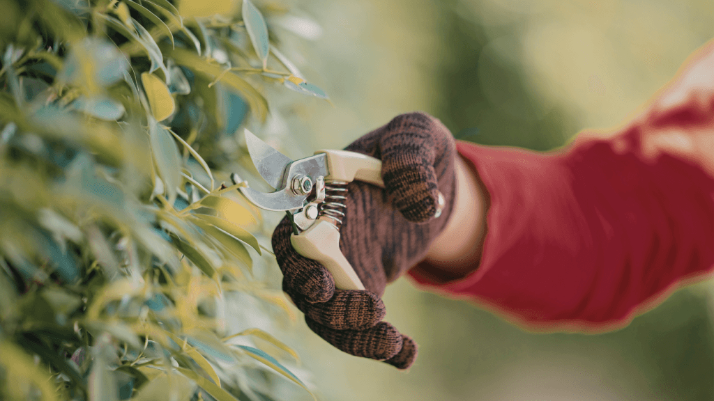 tuin_haag_snoeien_mamablogger_