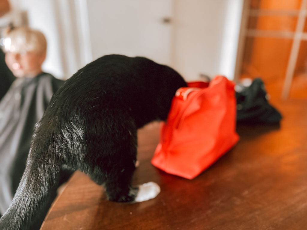 Mijn week_persoonlijk_Mamablogger_