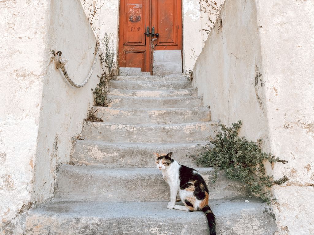 Verslag_Rhodos_zomervakantie_2026_Mamablogger_