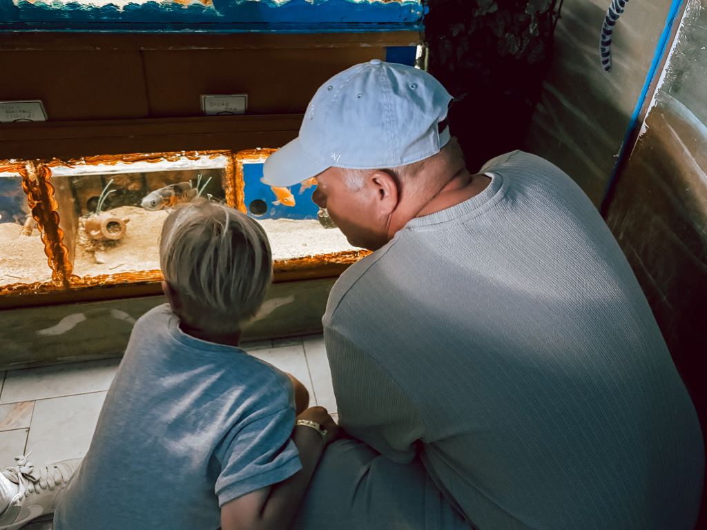 Verslag_Rhodos_zomervakantie_2026_Mamablogger_